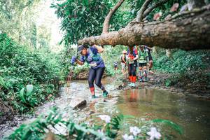 BIB: 
                            <button type="button" onclick="openModal(25517851)" class="btn btn-primary btn-sm float-right btn-popup" data-toggle="modal" data-target=".modal-high-quality">
                        <i class="fas fa-shopping-cart"></i> Add to Cart
                    </button>
                                            <button type="button" onclick="isThisMe(25517851, true)" class="btn btn-success btn-sm float-right btn-popup btn-isme hidden" data-toggle="tooltip" data-placement="bottom" title="นี่คือรูปของคุณใช่ไหม คลิกที่นี่เพื่อเอาเข้าอัลบั้ม">
                        <i class="fas fa-plus"></i> Add to album
                    </button>
                    <button type="button" onclick="isThisMe(25517851, false)" class="btn btn-warning btn-sm float-right btn-popup btn-isnotme hidden">
                        <i class="fas fa-ban"></i> Remove from album
                    </button>